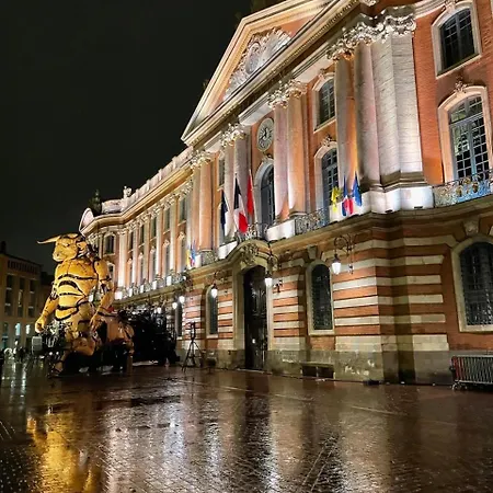 شقة L'etage, Hypercentre Toulousain, Climatise