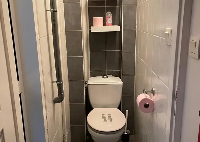 L'etage, Hypercentre Toulousain, Climatise *